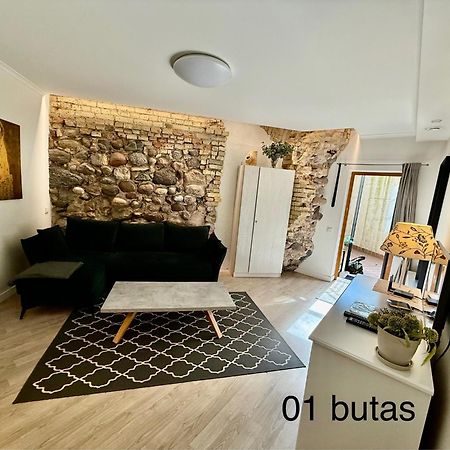 Six Apartment Simona Vilnius Dış mekan fotoğraf